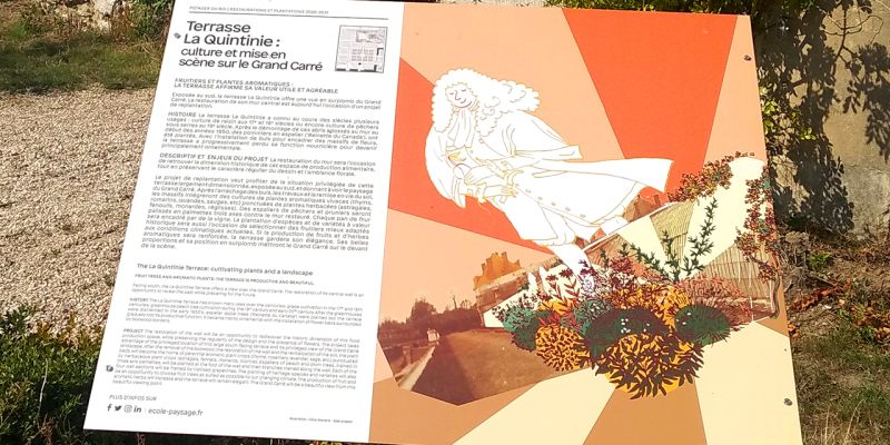 strat&eacute;gie de marque 